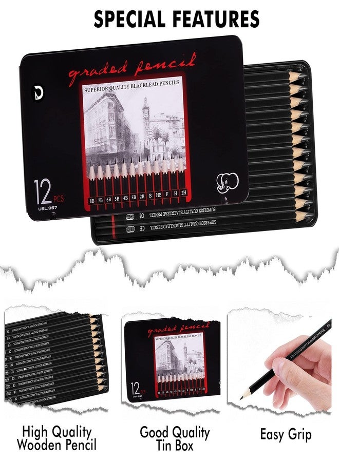 DaKos Sketch Pencil Set, Sketch Pencil Set for Artists, Drawing Art Pencils, Artists Beginner Sketching, Drawing Supplies for Adults & Kids, Art Pencils (12 Pencils Set in Tin Box) - Image 4